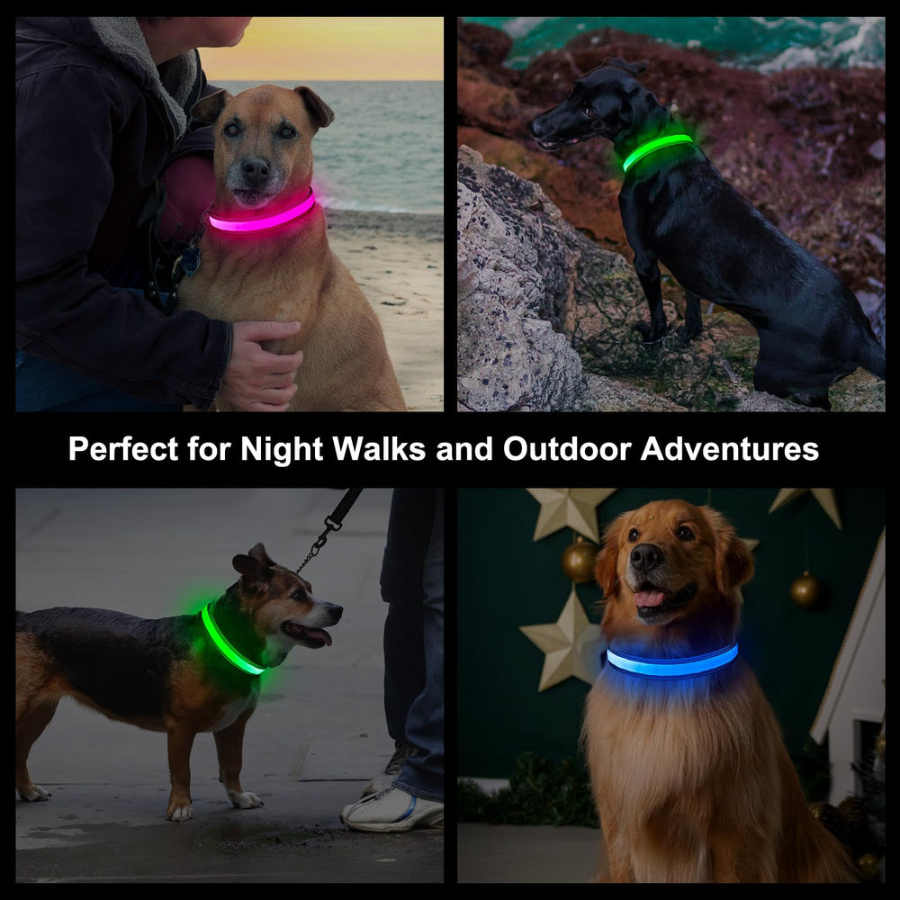 Visinite light-up dog collar USB-C charging shown for quick recharge before evening adventures.