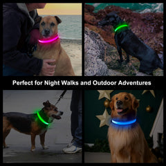 Visinite light-up dog collar USB-C charging shown for quick recharge before evening adventures.