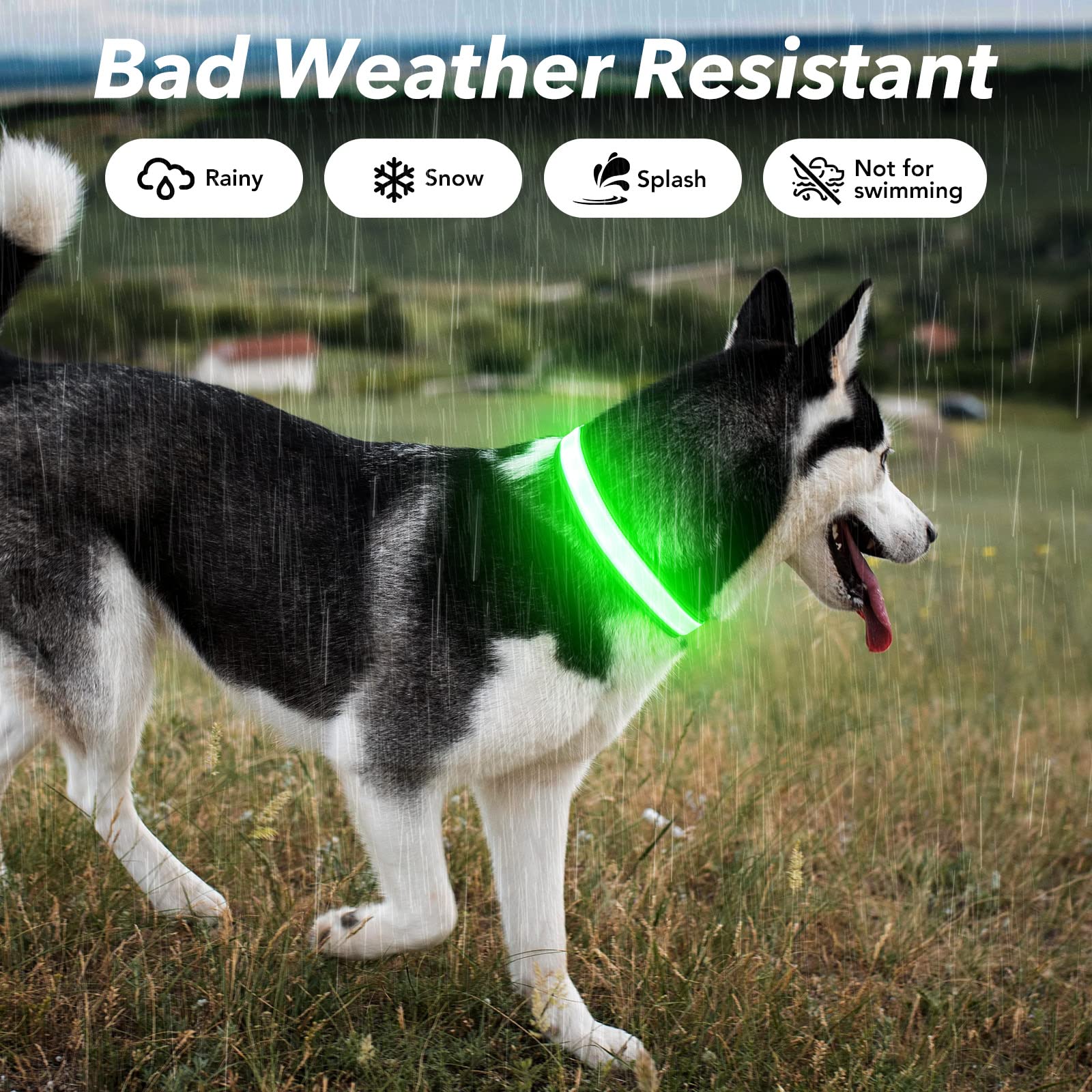 Visinite USB charge feature on the light up dog collar enables easy power.