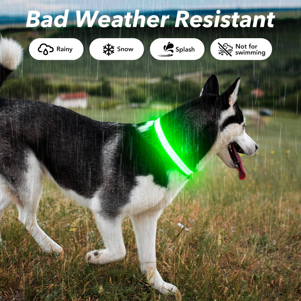 Visinite USB charge feature on the light up dog collar enables easy power.