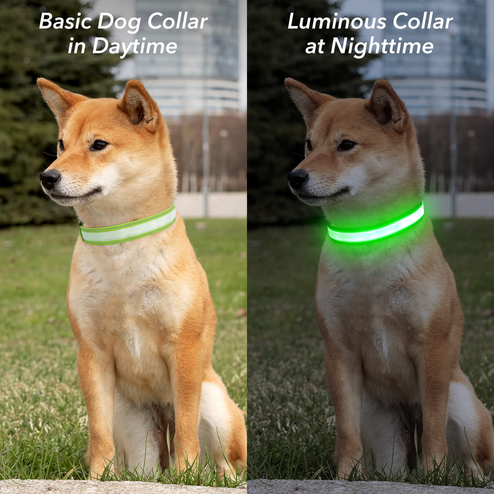 Visinite light up dog collar is water-resistant for rainy day adventures.