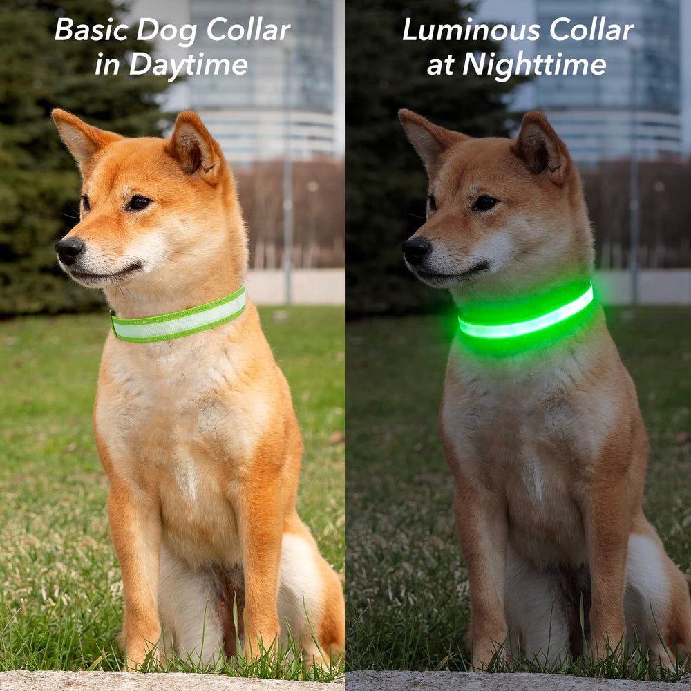 Visinite light up dog collar is water-resistant for rainy day adventures.