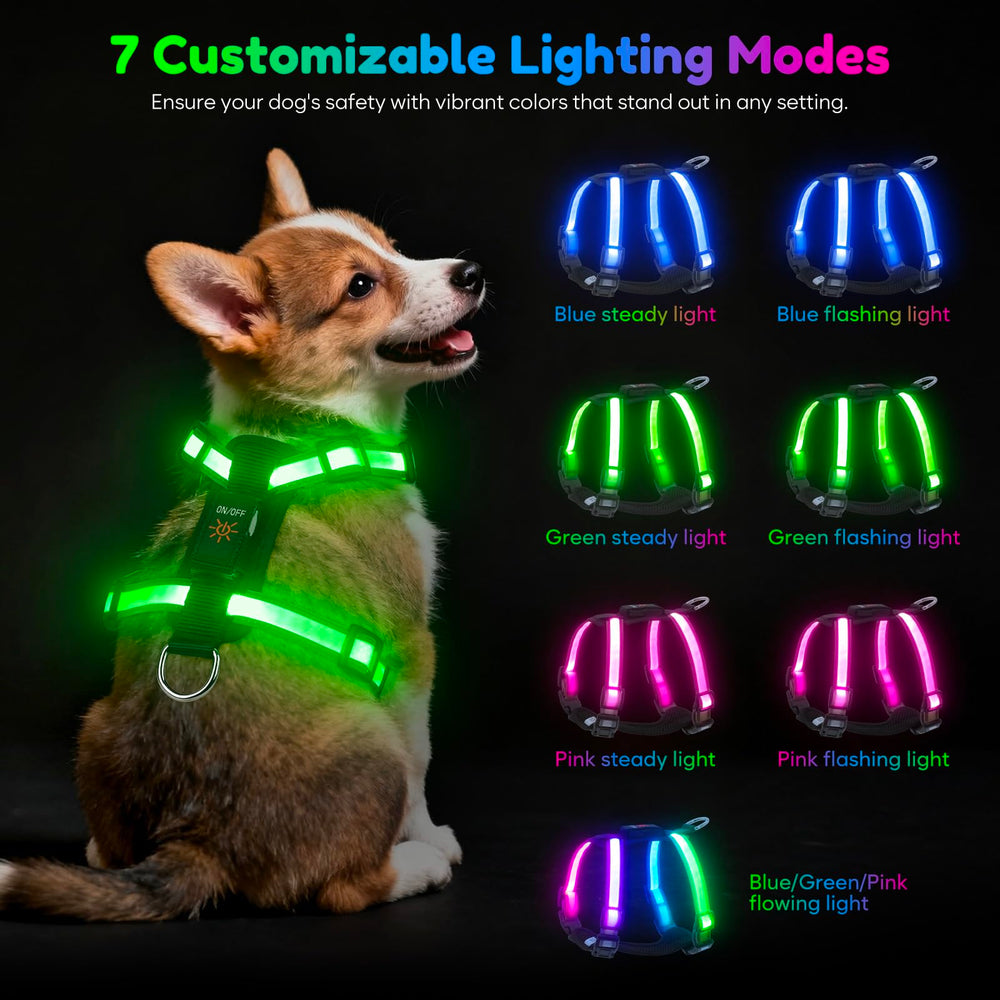 Visinite Light Up Dog Harness demonstrates 360° visibility for all-direction safety