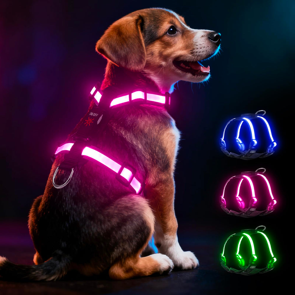 Visinite Light Up Dog Harness in blue mode offers steady night visibility for evening walks