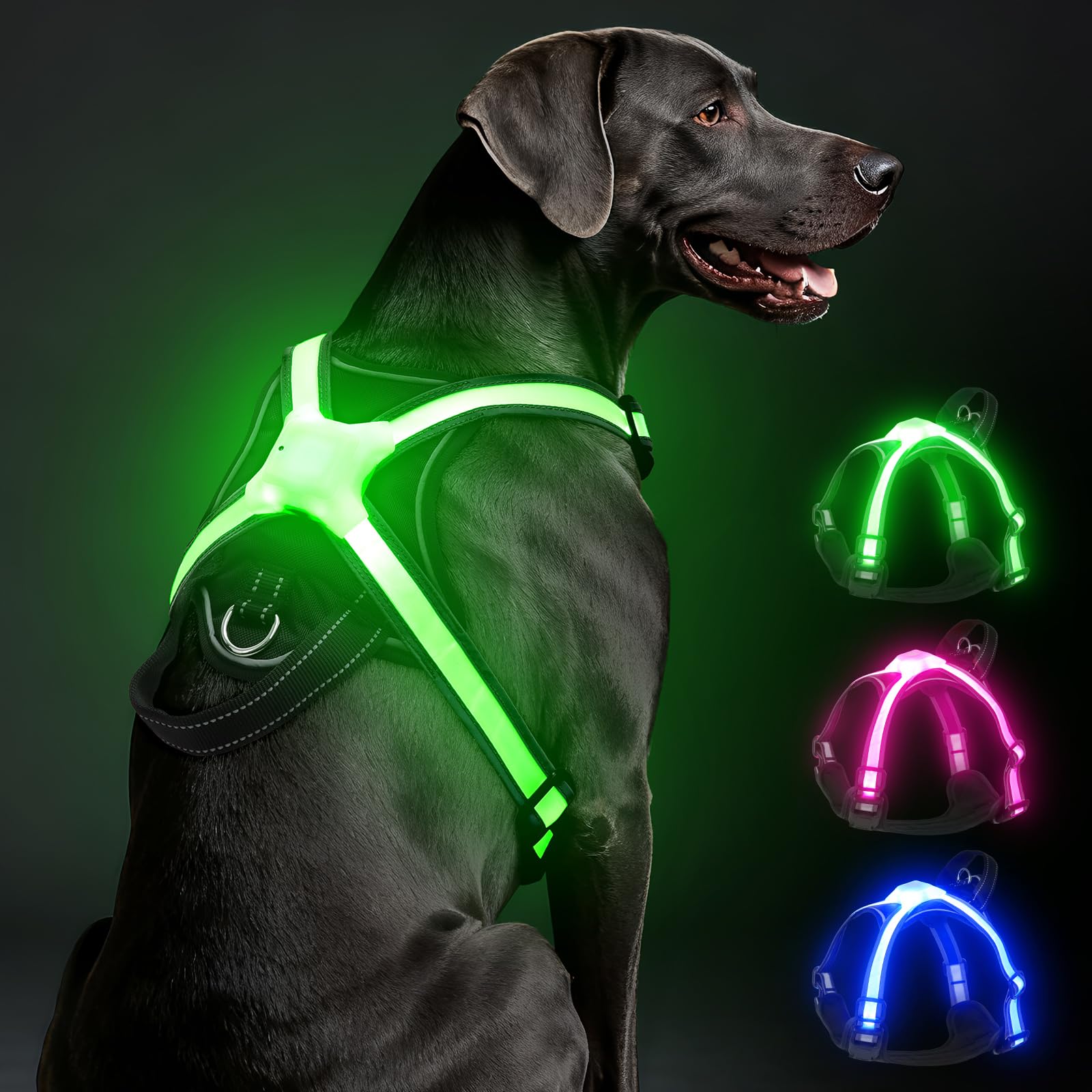 Visinite light up dog harness full view for safer night walks.