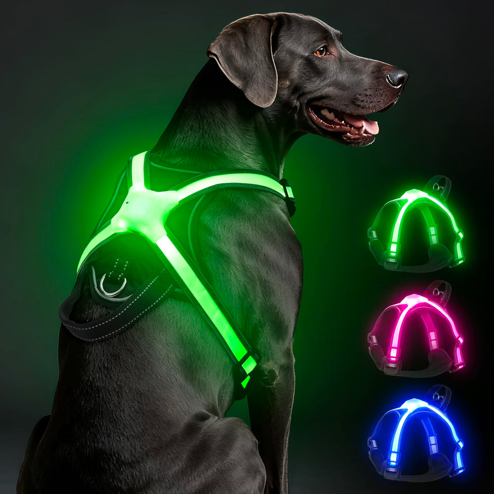 Visinite light up dog harness full view for safer night walks.