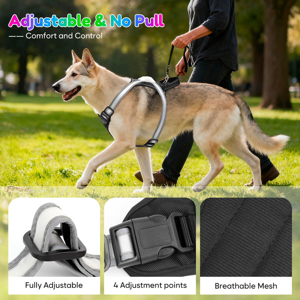 Visinite harness in use during night walk shows no-pull comfort.