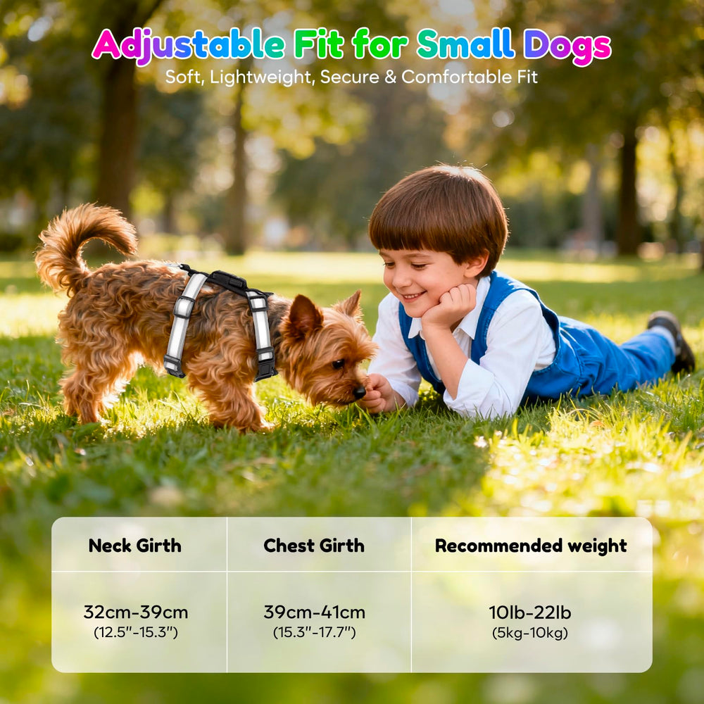 Visinite Light Up Dog Harness ready for night walks with glow-in-the-dark chest area