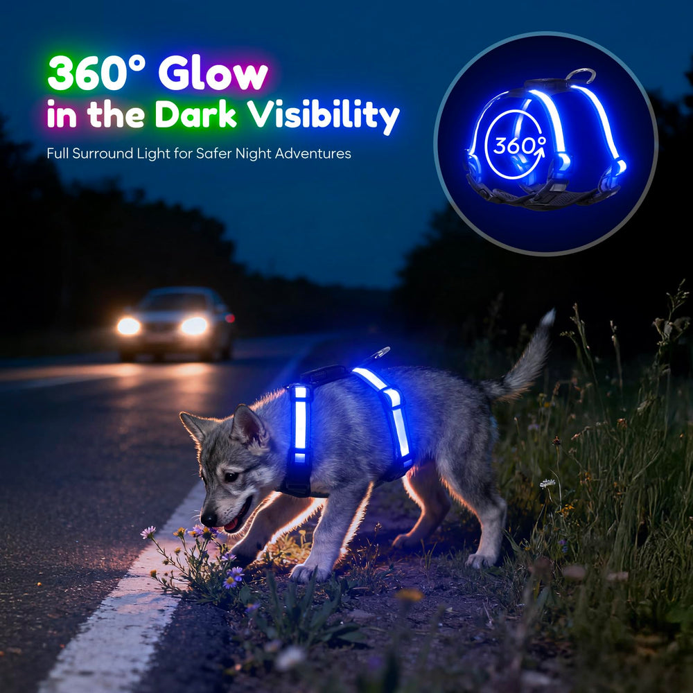 Visinite Light Up Dog Harness with USB-C recharge shows convenient charging capability