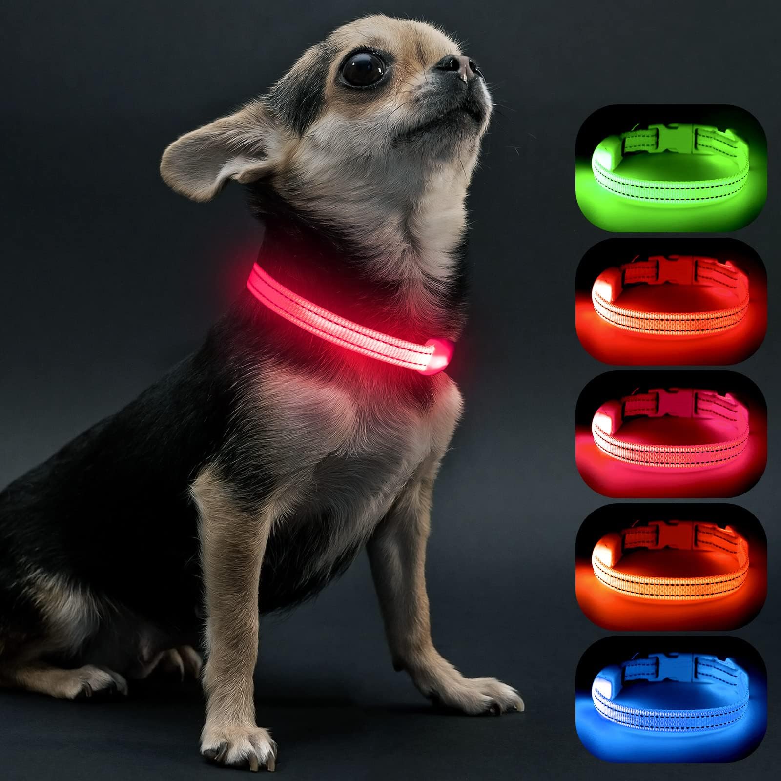 Visinite pink light-up dog collar front view with bright night visibility.