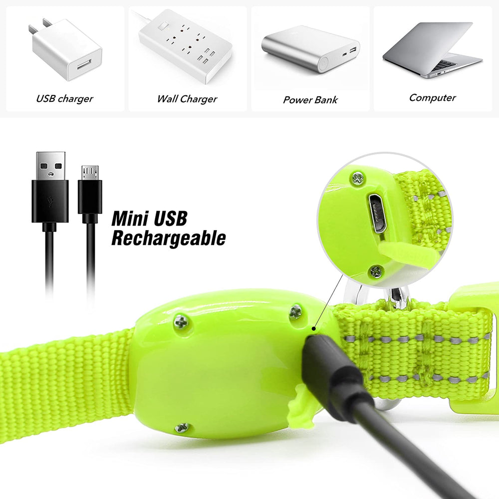 Visinite quick-release buckle dog collar for fast on/off during walks