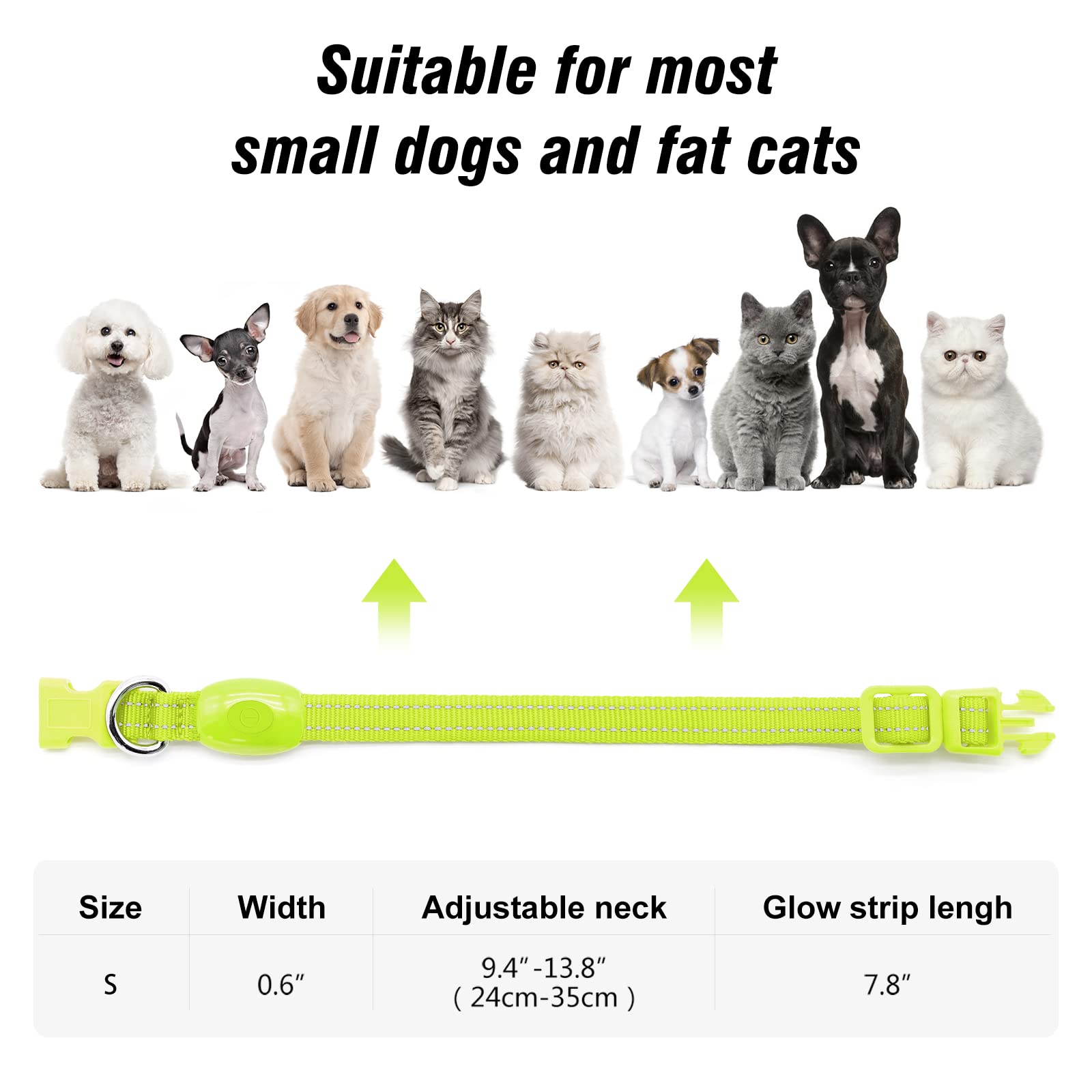 Visinite reflective stitching detail enhances nighttime safety on small dogs
