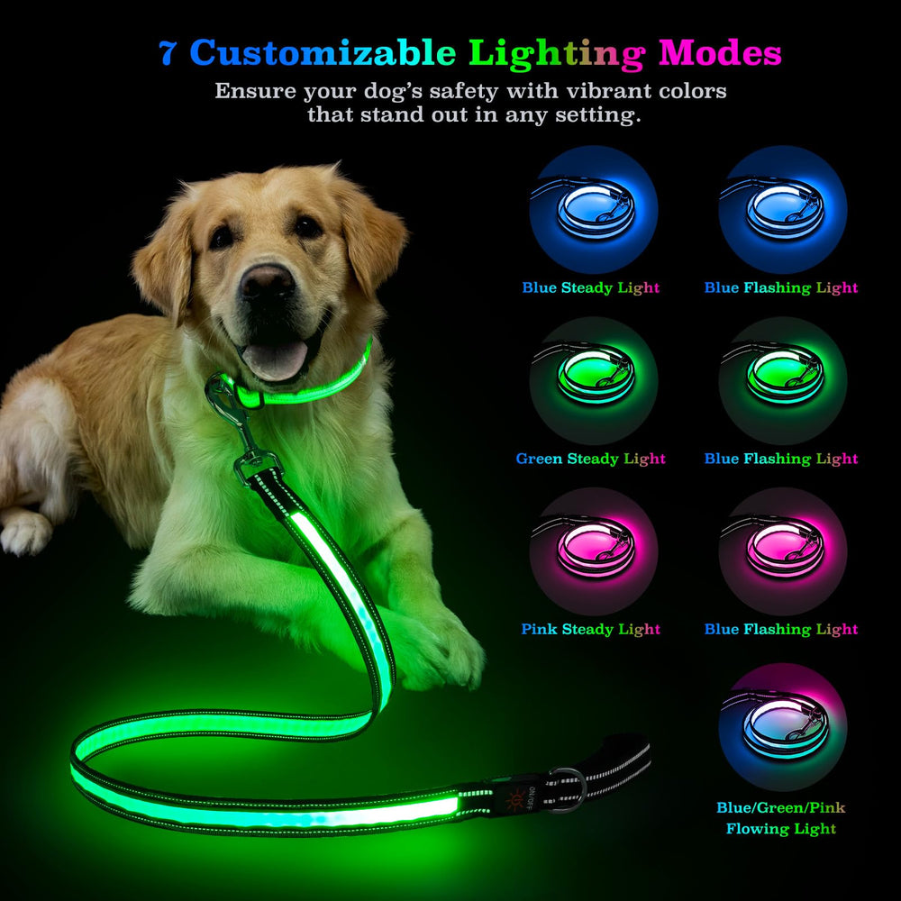 Visinite tangle-free safety buckle dog leash reduces tangling during activity