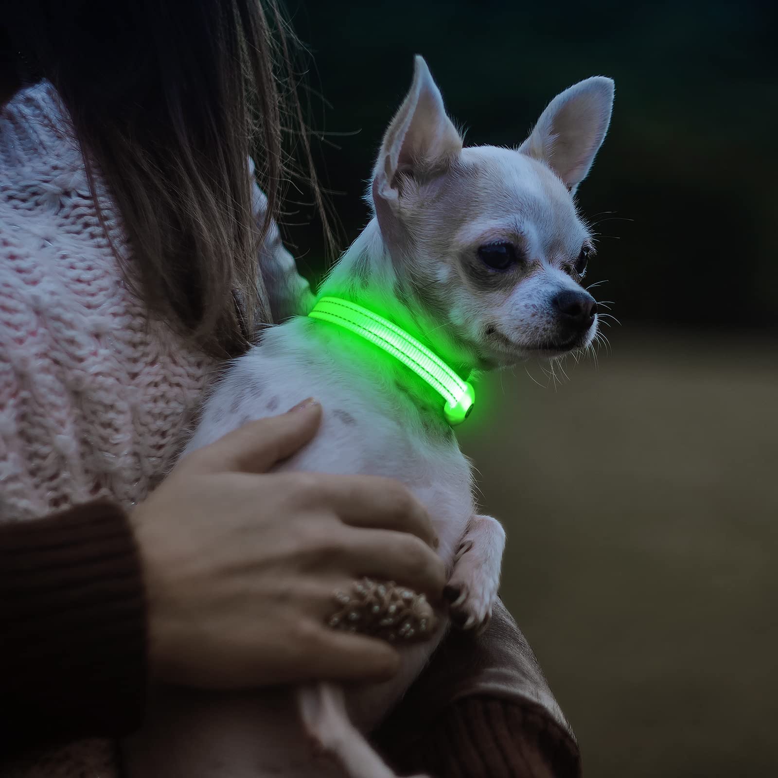 Visinite water-resistant glow collar endures rainy walks