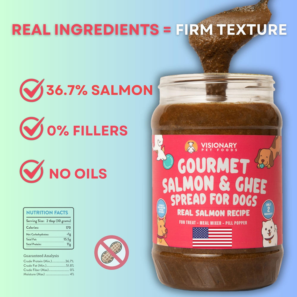 Visionary Pet Foods dog-eating-scene captures calm feeding routine