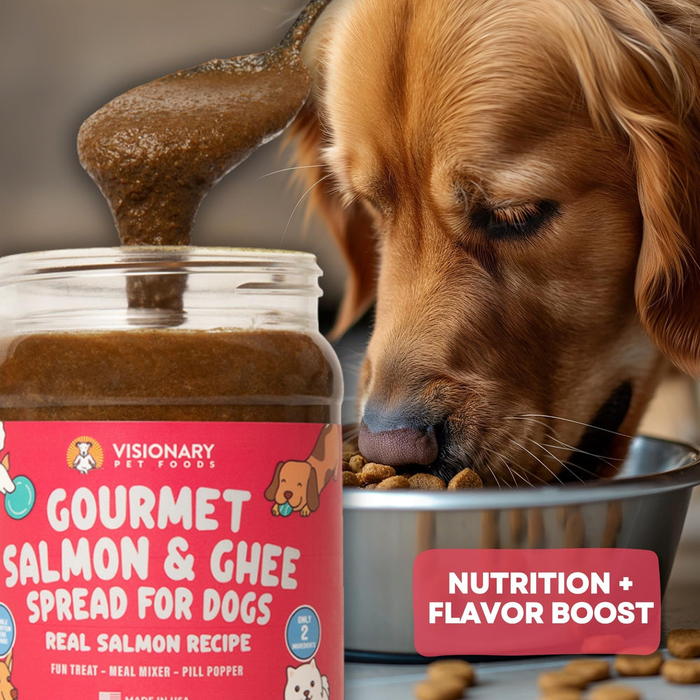 Visionary Pet Foods low-carb-snack photo showcases mindful chewing option