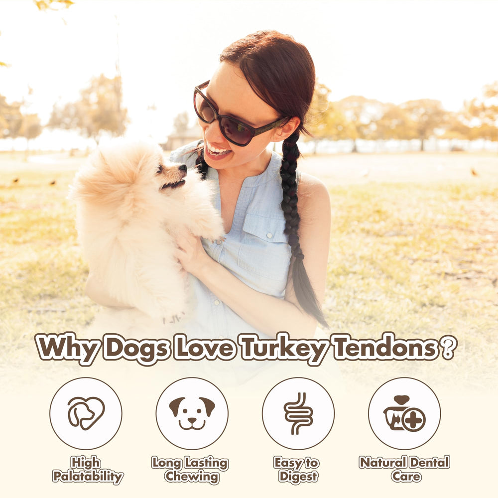 VITADAY turkey tendons for dogs during a chew session showcasing long-lasting chew.