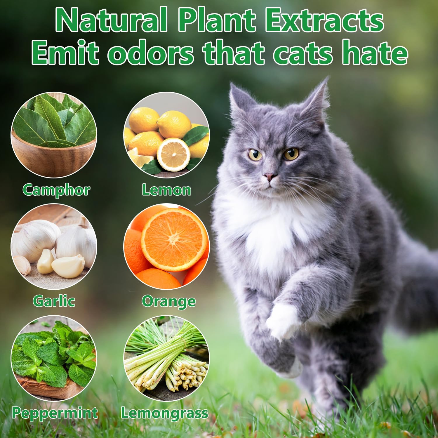 VITAFOR deterrent ball in use outdoors deters cats around garden beds with scent