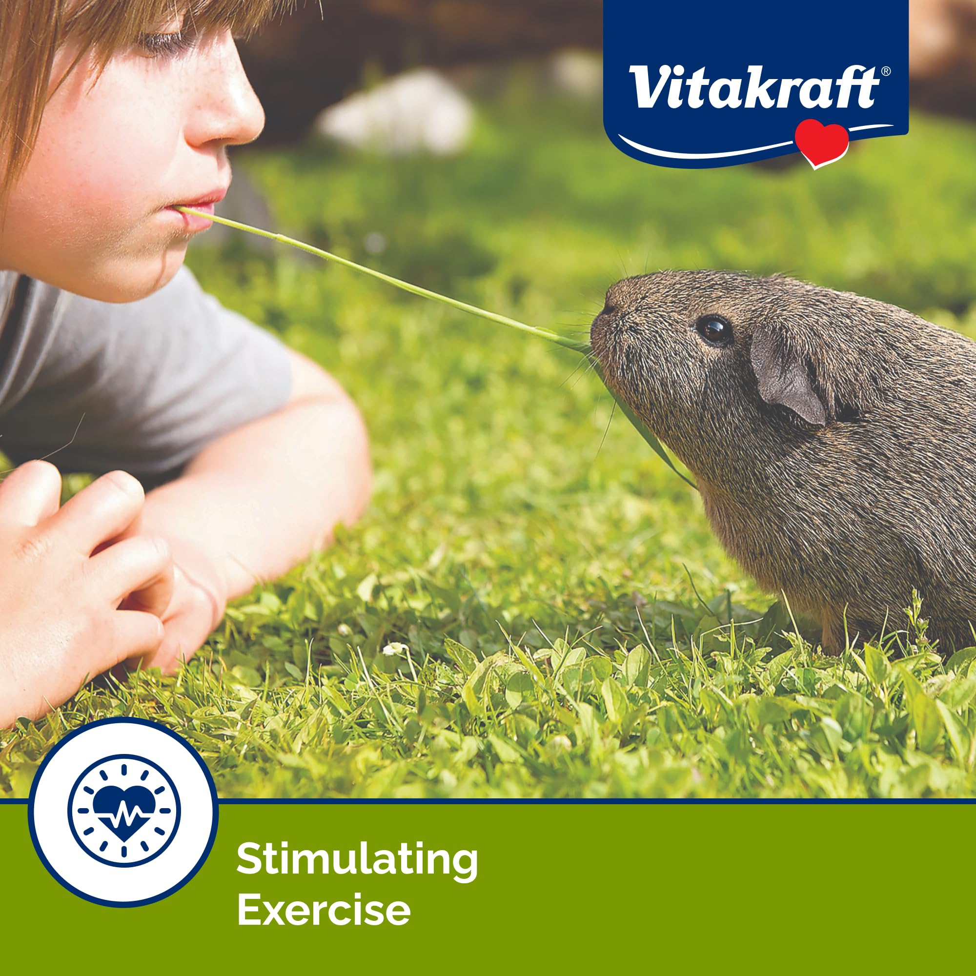 Vitakraft Crunch Sticks guinea-pig-chew-toy image emphasizing engagement and chew time.