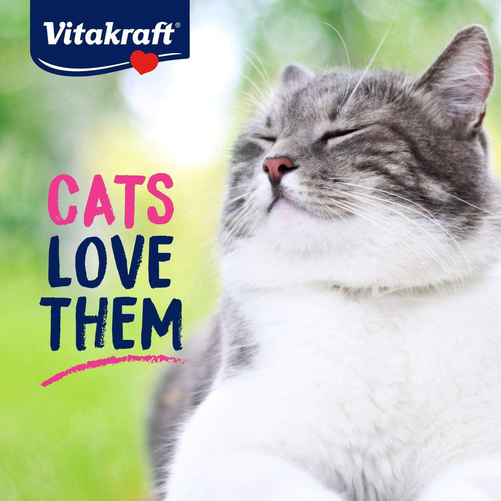 Vitakraft PurrSticks on-the-go travel-friendly bag-ready for travel