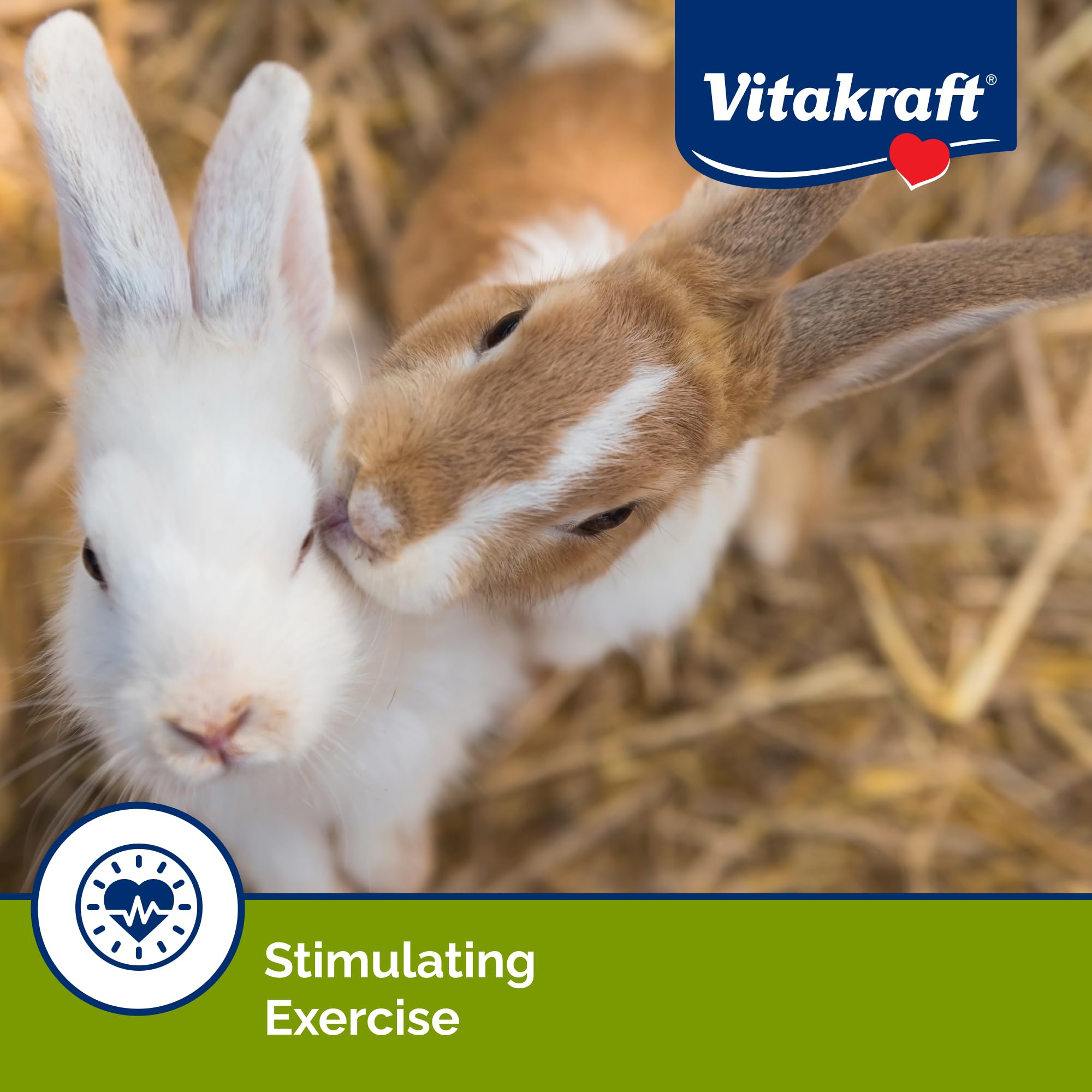 Vitakraft Rabbit Treat Stick foraging-behavior close-up highlights enrichment during playtime.