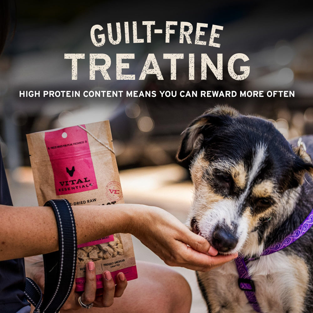 Vital Essentials gluten-free dog treat closeup signals allergy-friendly snacking for sensitive dogs.