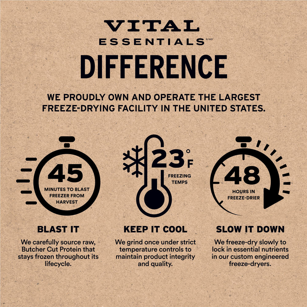 Vital Essentials grain-free dog treat image highlights digestion-friendly protein without grains.