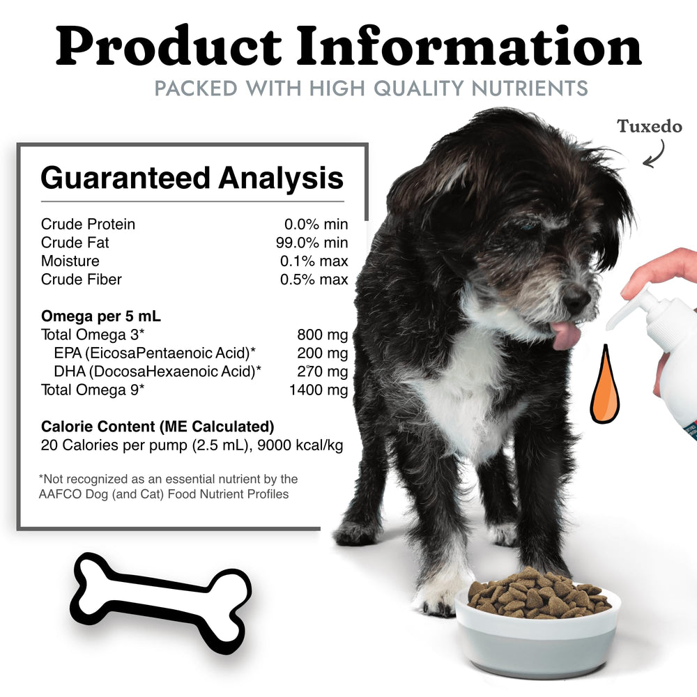 Pet enjoys a meal with Vital Pet Life salmon oil additive.
