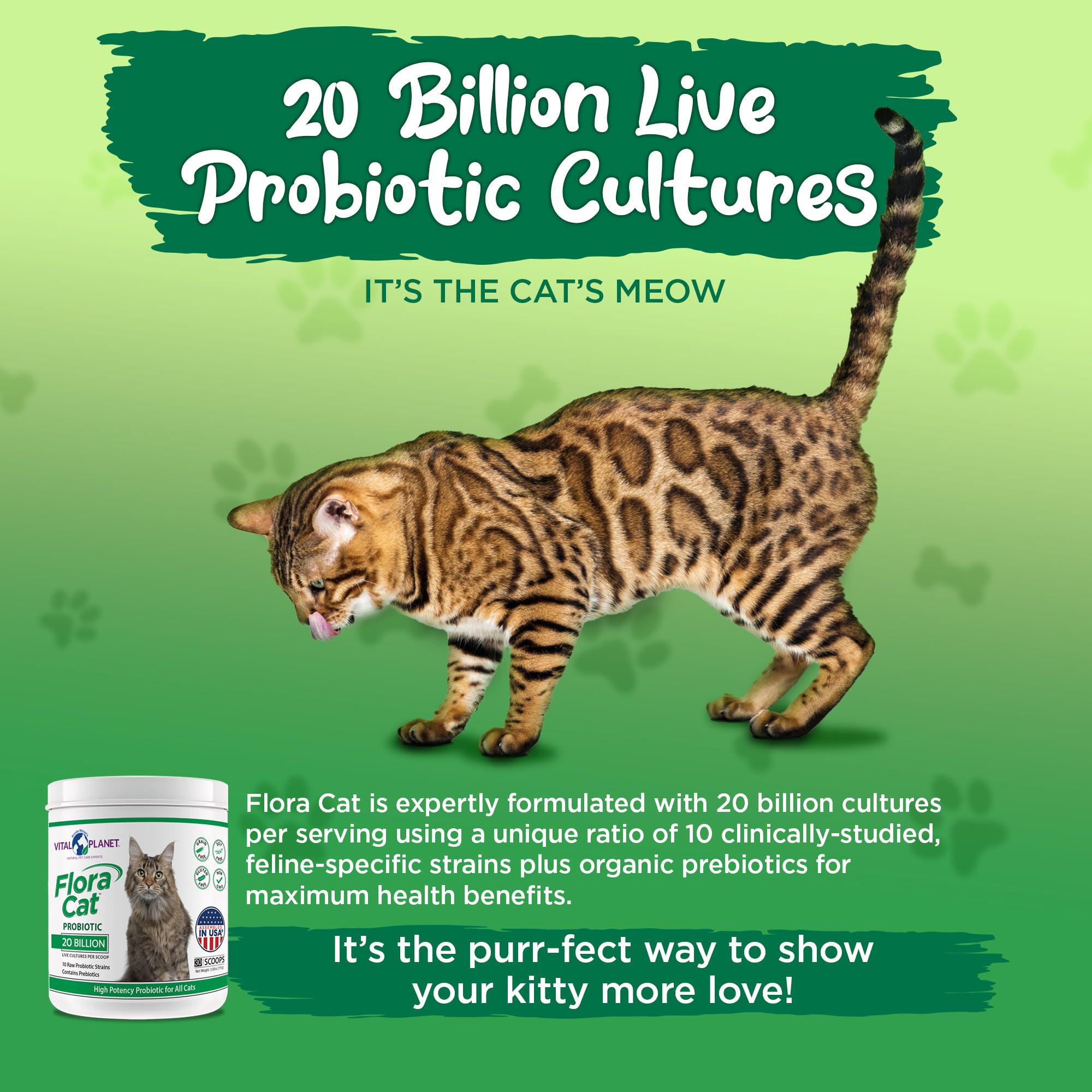 Vital Planet Flora Cat probiotic daily-use jar shown with measuring scoop for easy dosing.