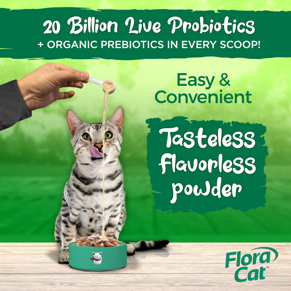 Vital Planet Flora Cat probiotic ingredients label highlighting probiotic strains and potency.