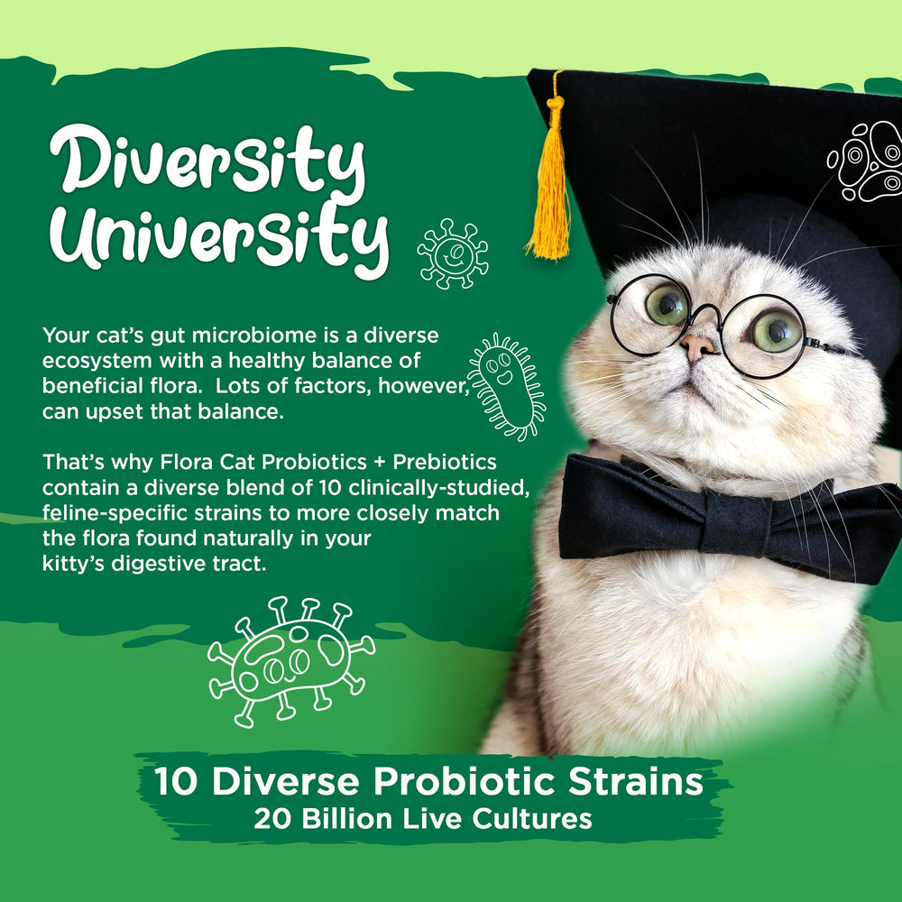 Vital Planet Flora Cat probiotic scoop resting over bowl signaling easy daily dosing.