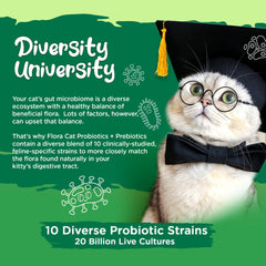 Vital Planet Flora Cat probiotic scoop resting over bowl signaling easy daily dosing.