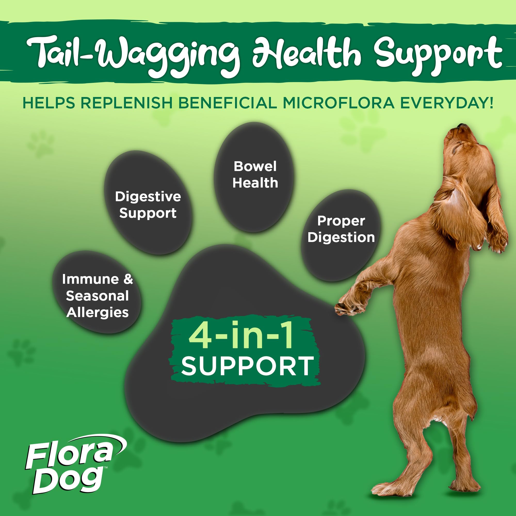 Vital Planet Flora Dog capsules opened and sprinkled on food for smaller dogs.