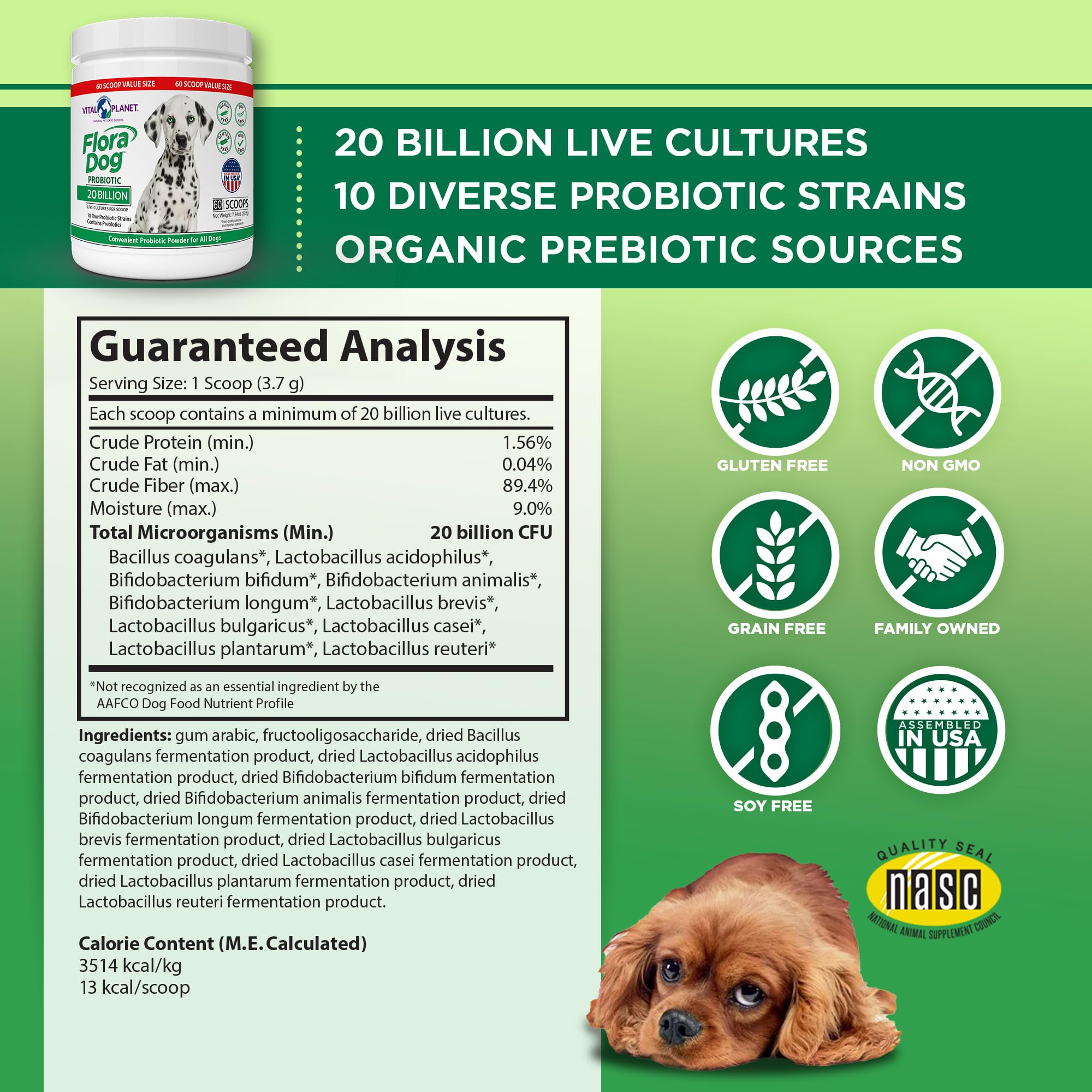 Vital Planet Flora Dog powder sprinkle on food illustrates convenient digestive support for dogs.