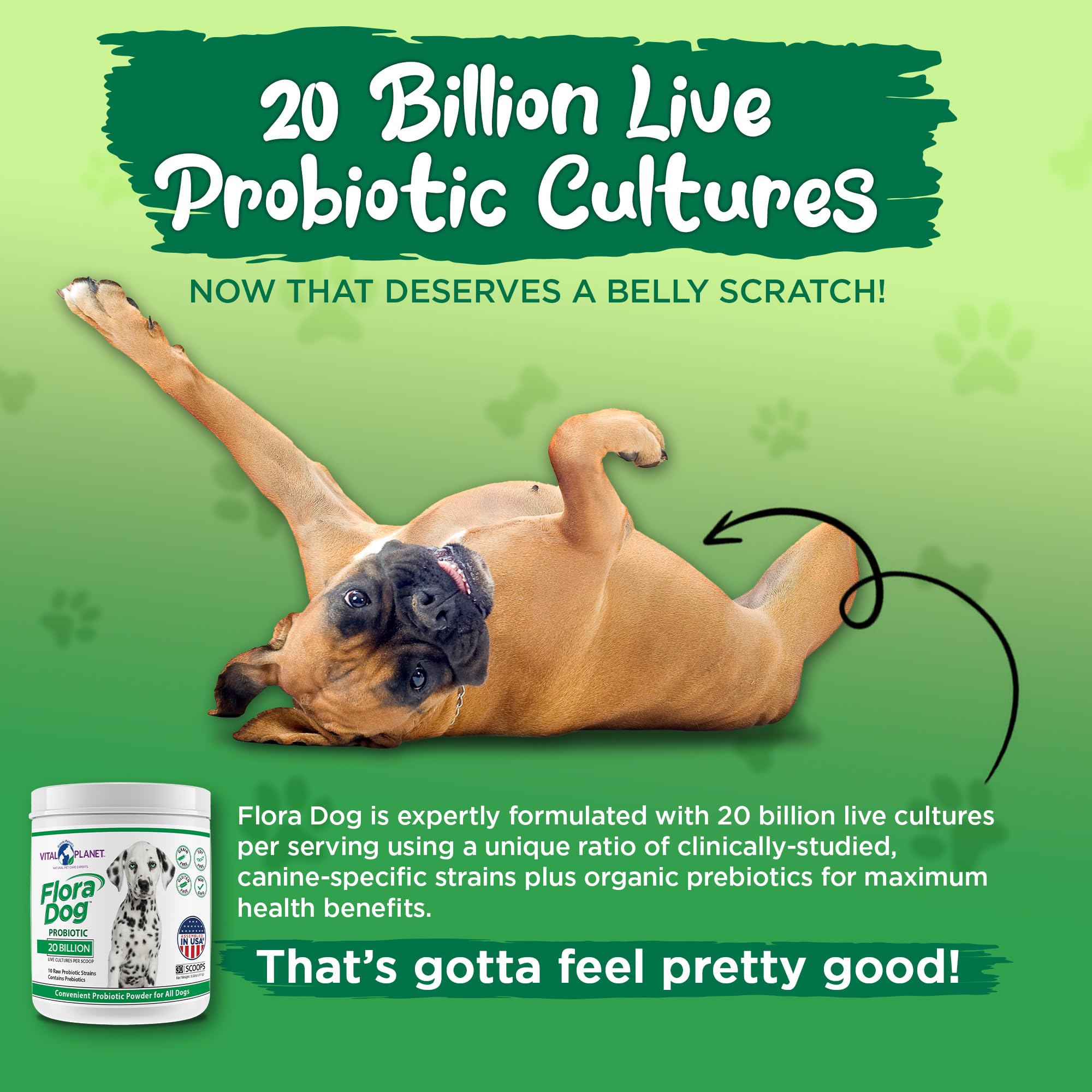 Vital Planet Flora Dog probiotic powder capsules opened for sprinkle on meals for small dogs.