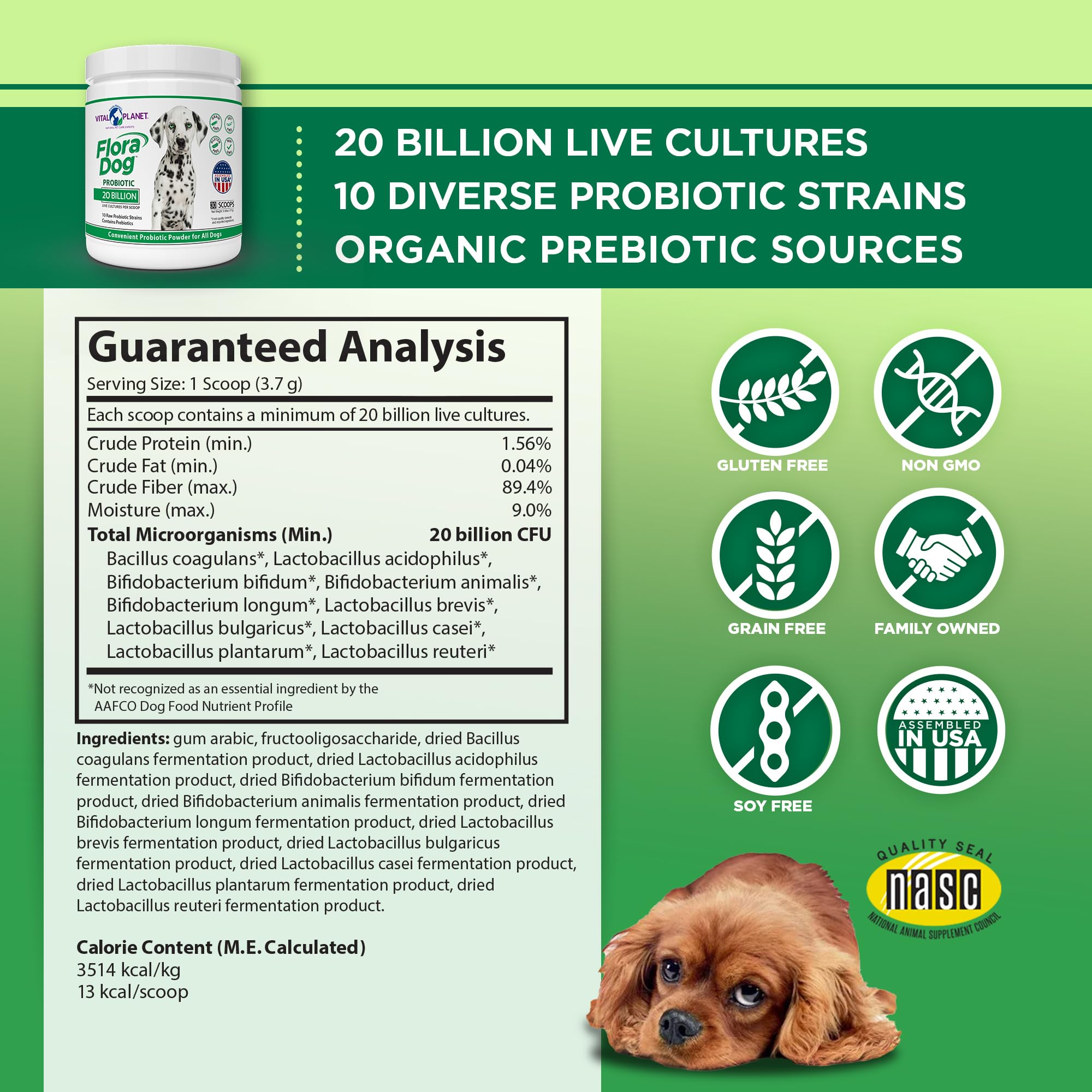 Vital Planet Flora Dog probiotic powder being sprinkled on dog food for daily gut support.