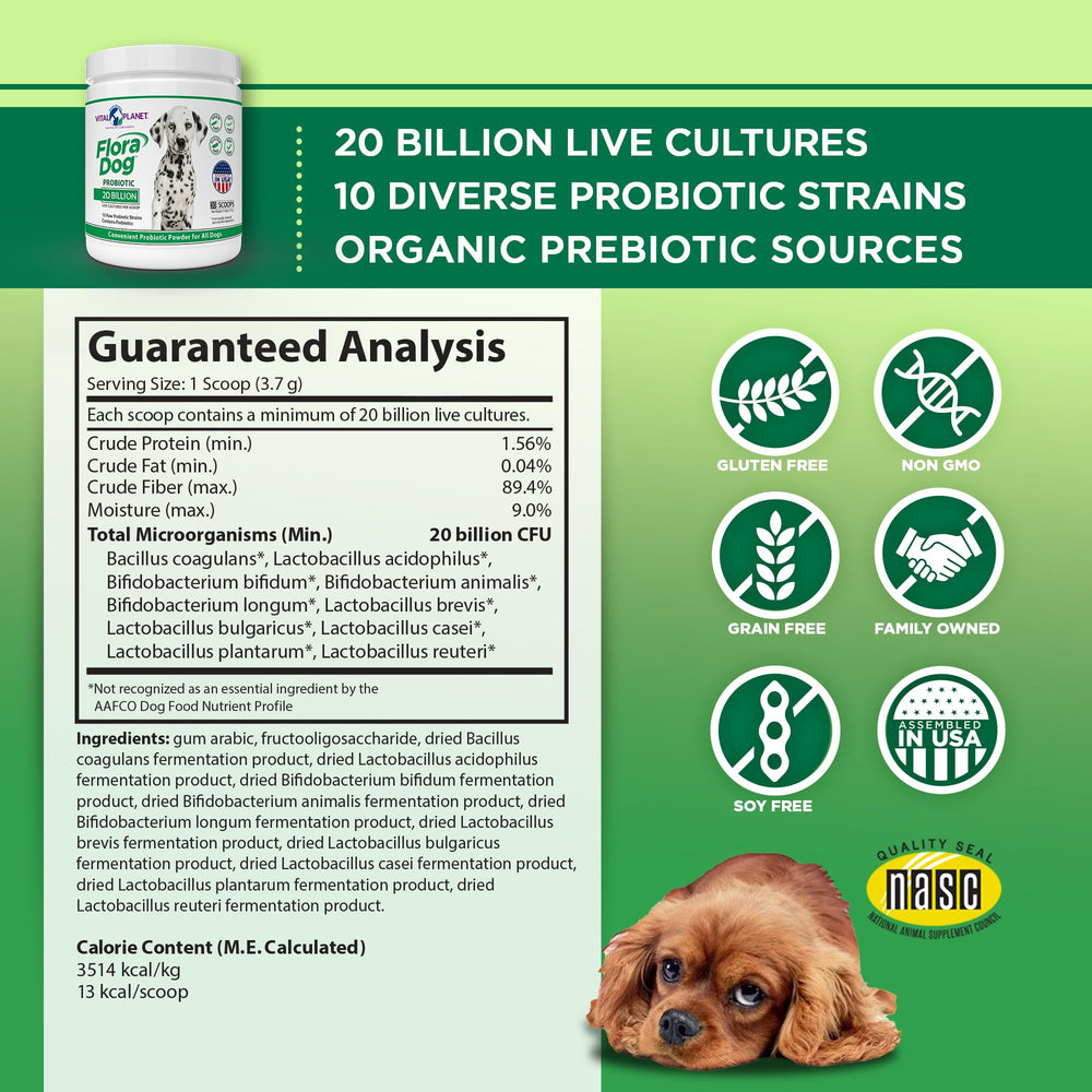 Vital Planet Flora Dog probiotic powder being sprinkled on dog food for daily gut support.