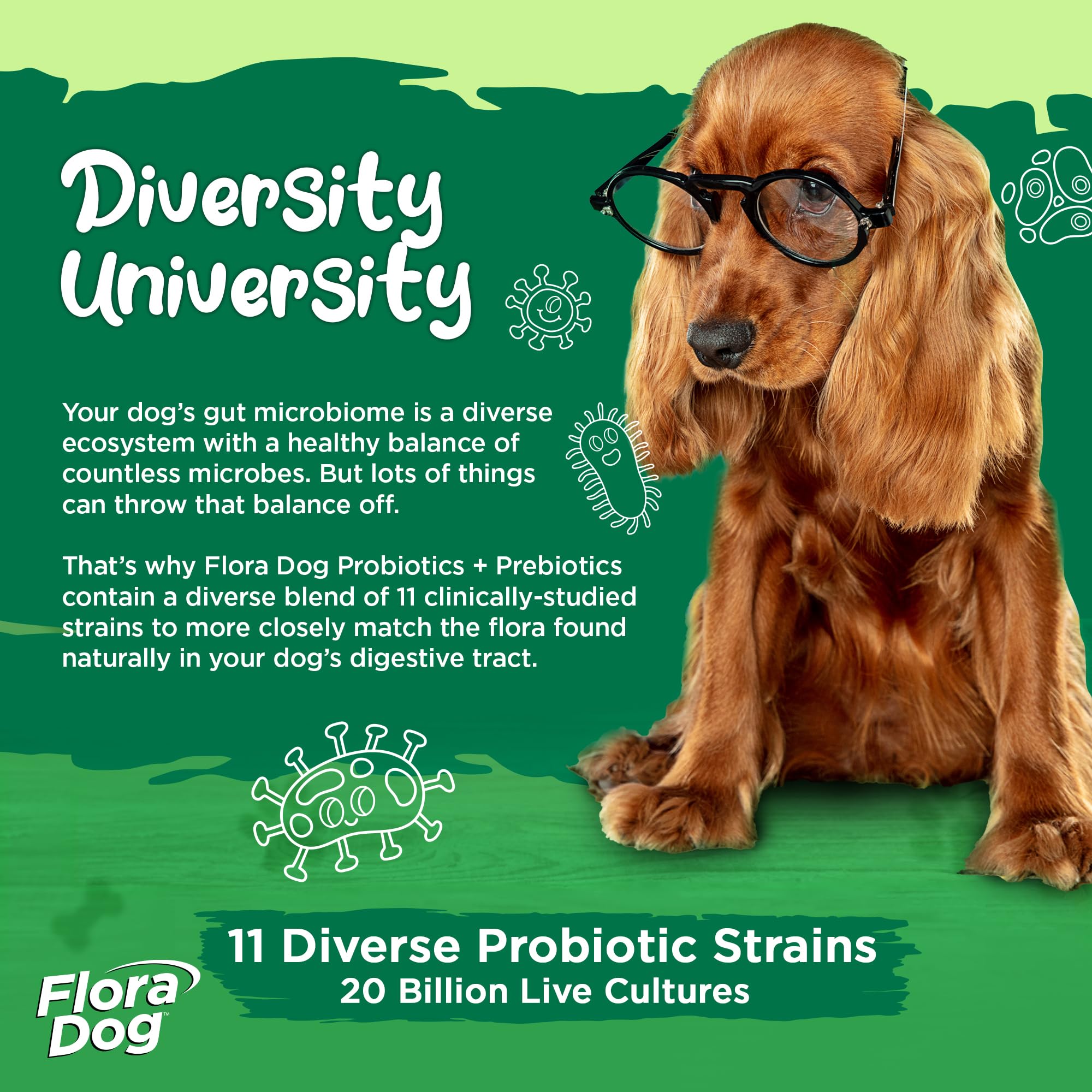 Vital Planet Flora Dog Probiotics 11 strains dog science illustration showcases diverse gut health
