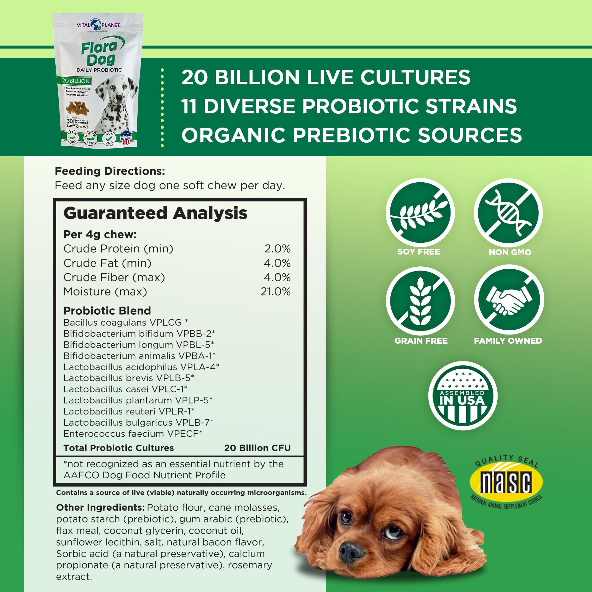 Vital Planet Flora Dog Probiotics 20B cultures bottle highlights potency for digestion and immune support