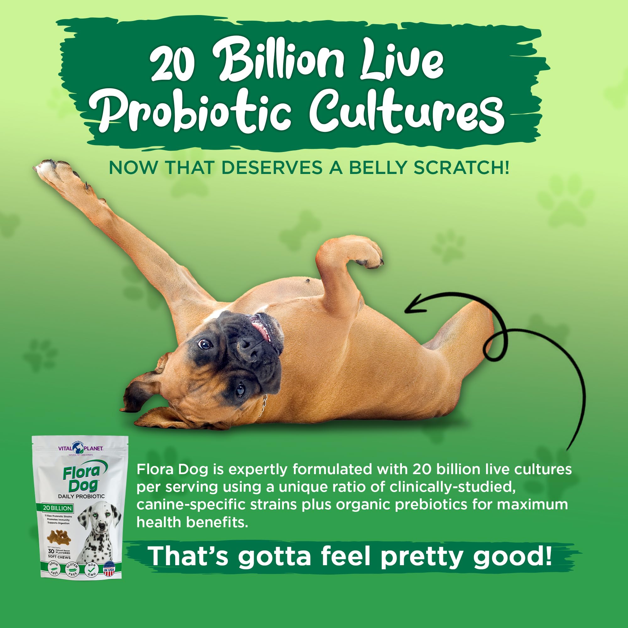 Vital Planet Flora Dog Probiotics USA-made facility ensures quality and purity in production