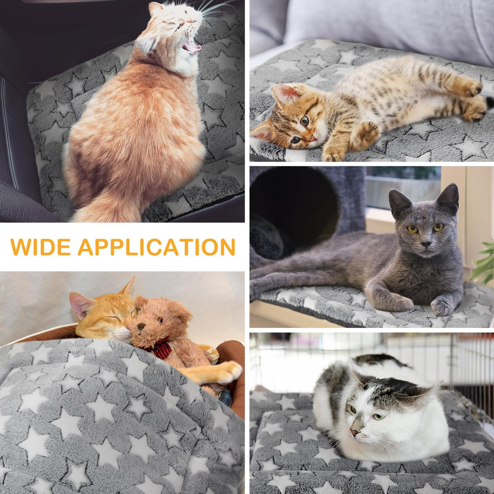 VitalCozy lightweight, multiuse pad suitable for crate, floor, car and travel