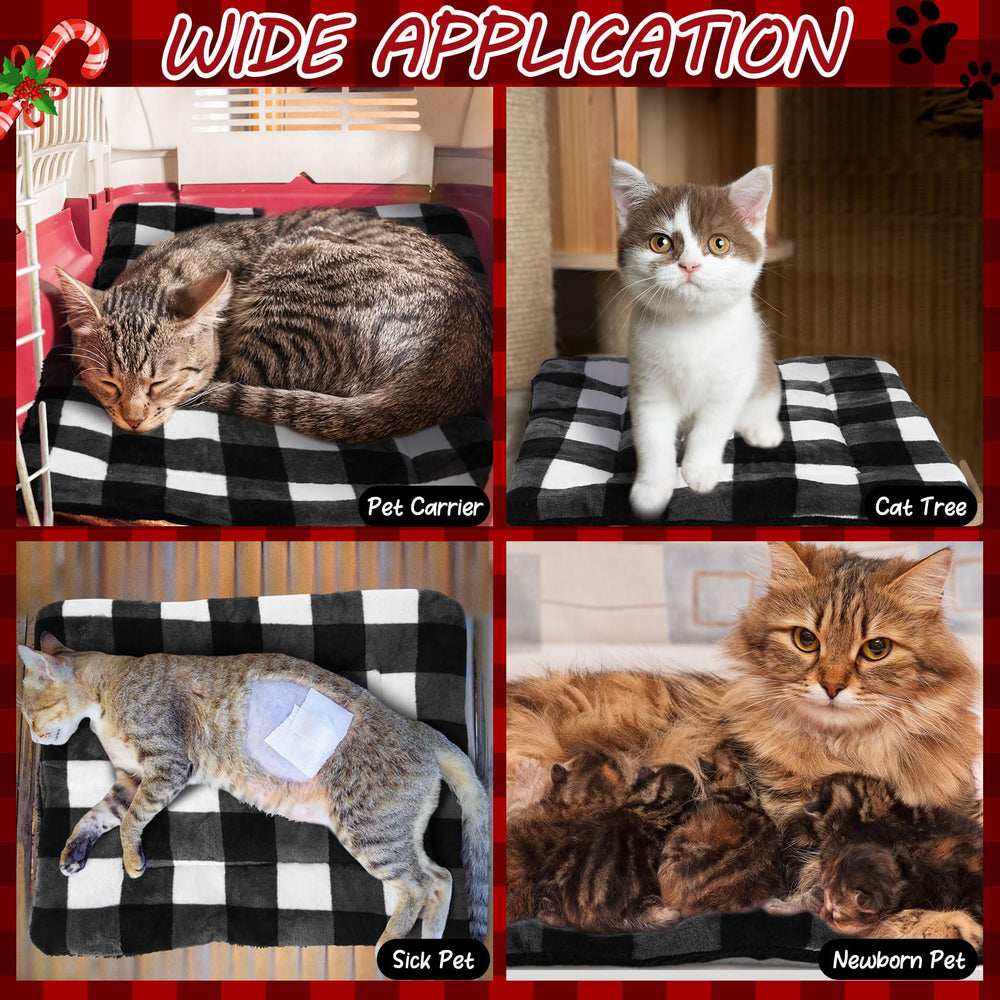 VitalCozy two-pack versatility supports kittens, adult cats, and small dogs in various settings.