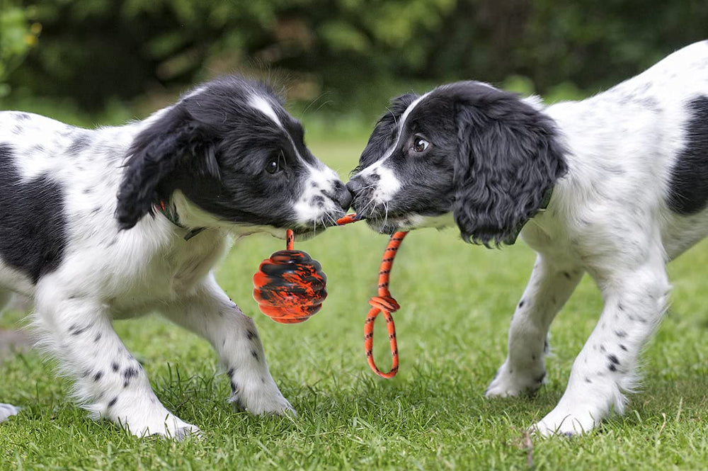 Vitalili dog training ball on rope chew-friendly surface aids teeth-cleaning and muscle engagement.