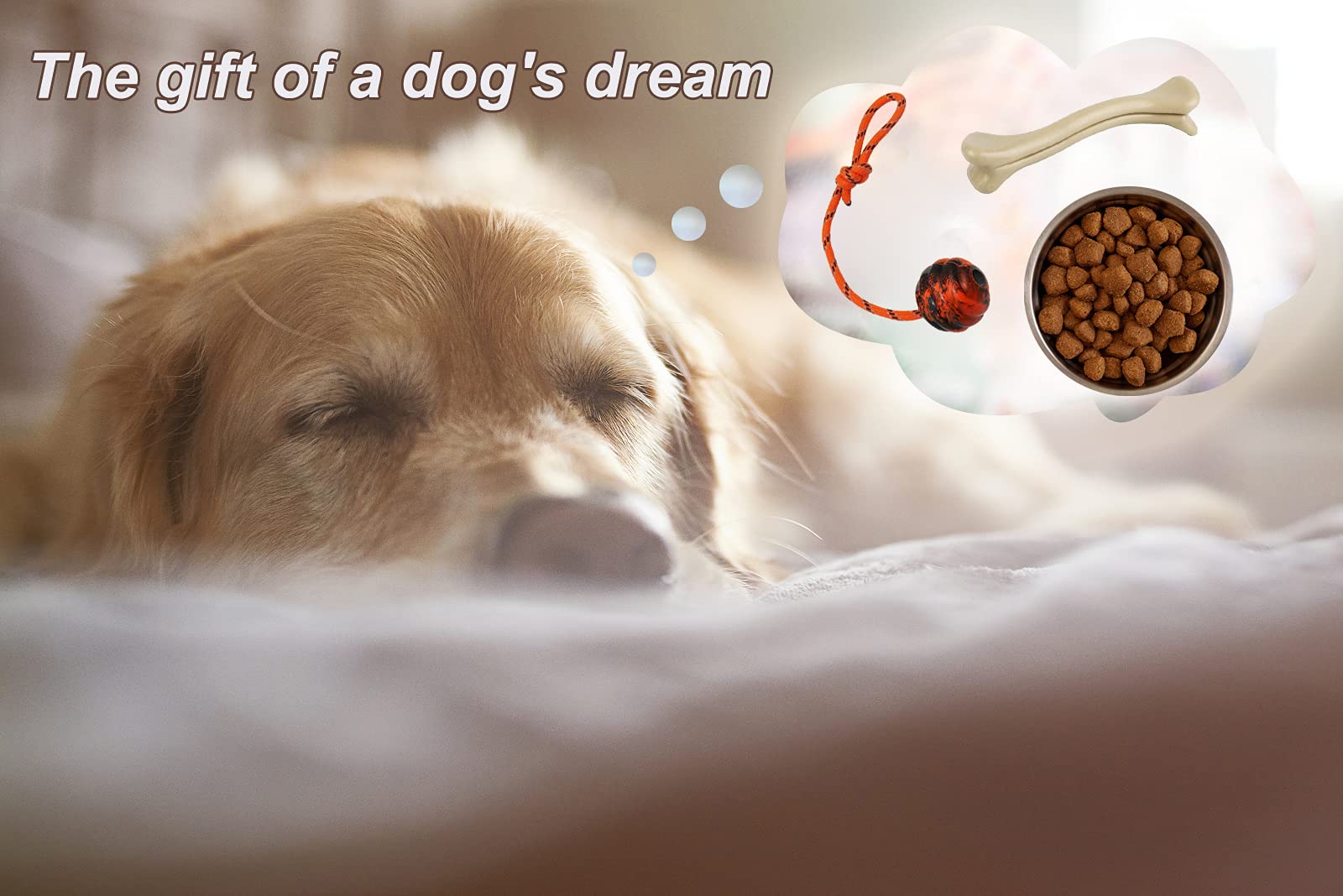 Vitalili dog training ball on rope reward-session supports training and motivation.