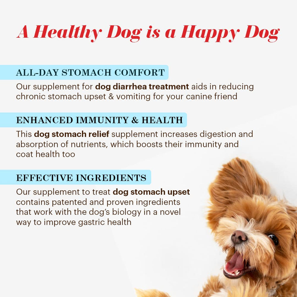Vitalize Alimend K9 dosing spoon demonstrates simple one-bottle administration.
