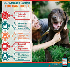 Vitalize Alimend K9 packaging box emphasizes 6 oz size and pet health support.
