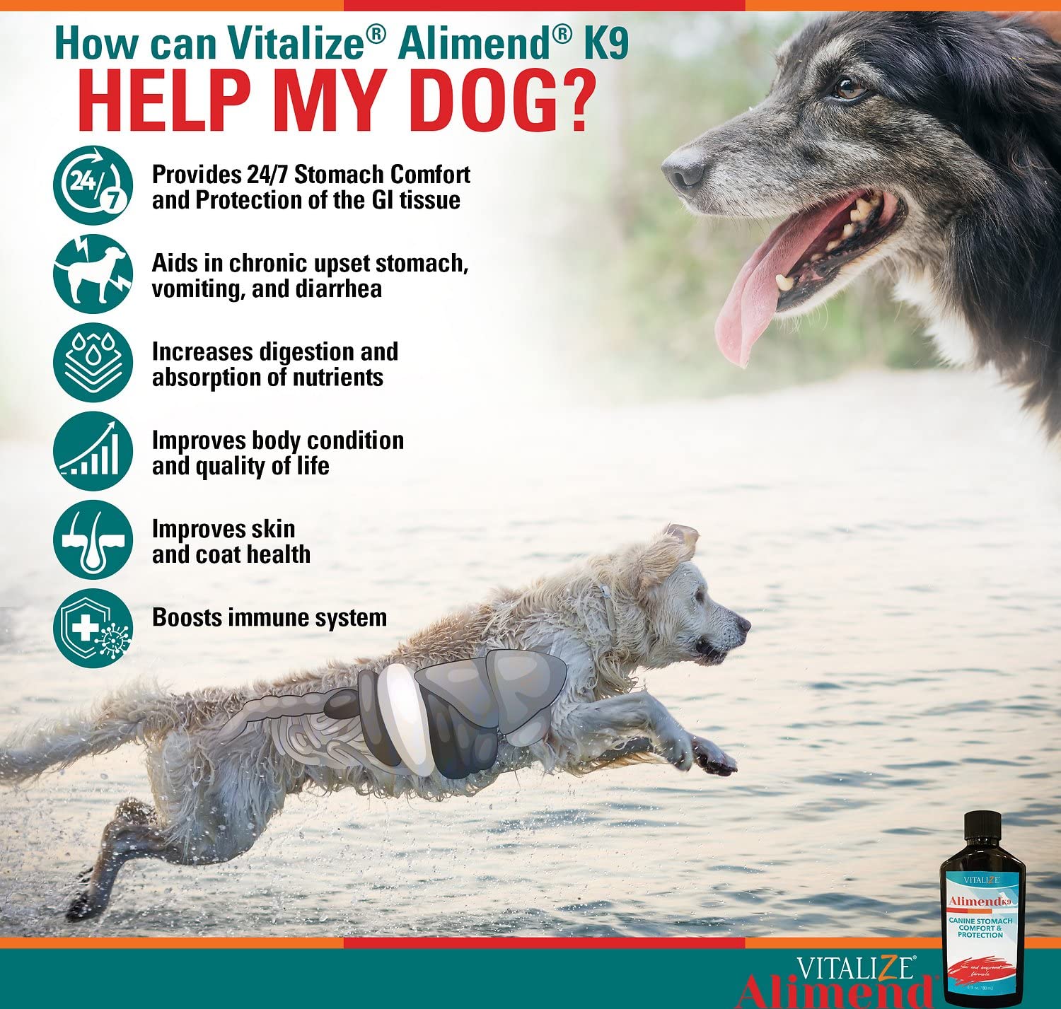 Vitalize Alimend K9 table setup illustrates daily care routine.