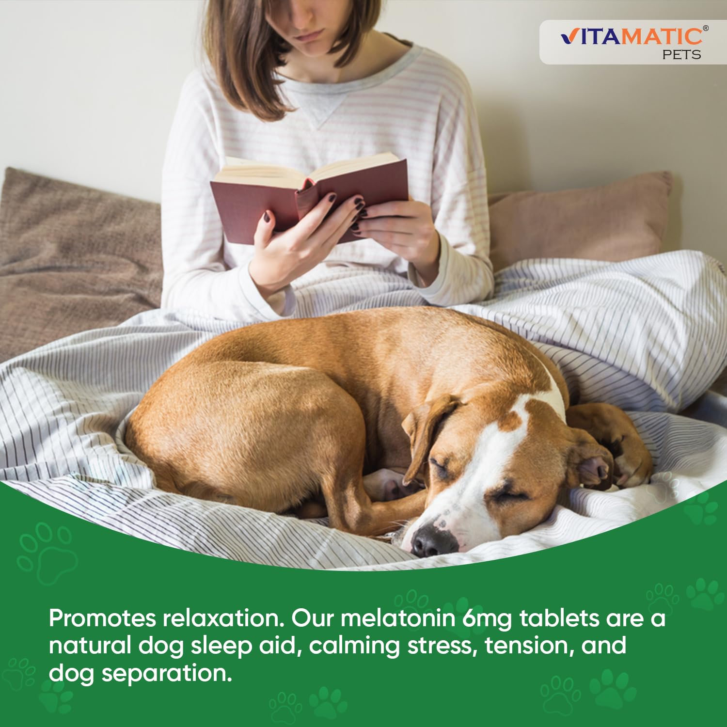 Vitamatic Melatonin for Dogs boarding image suggests easy chews during grooming or visits.