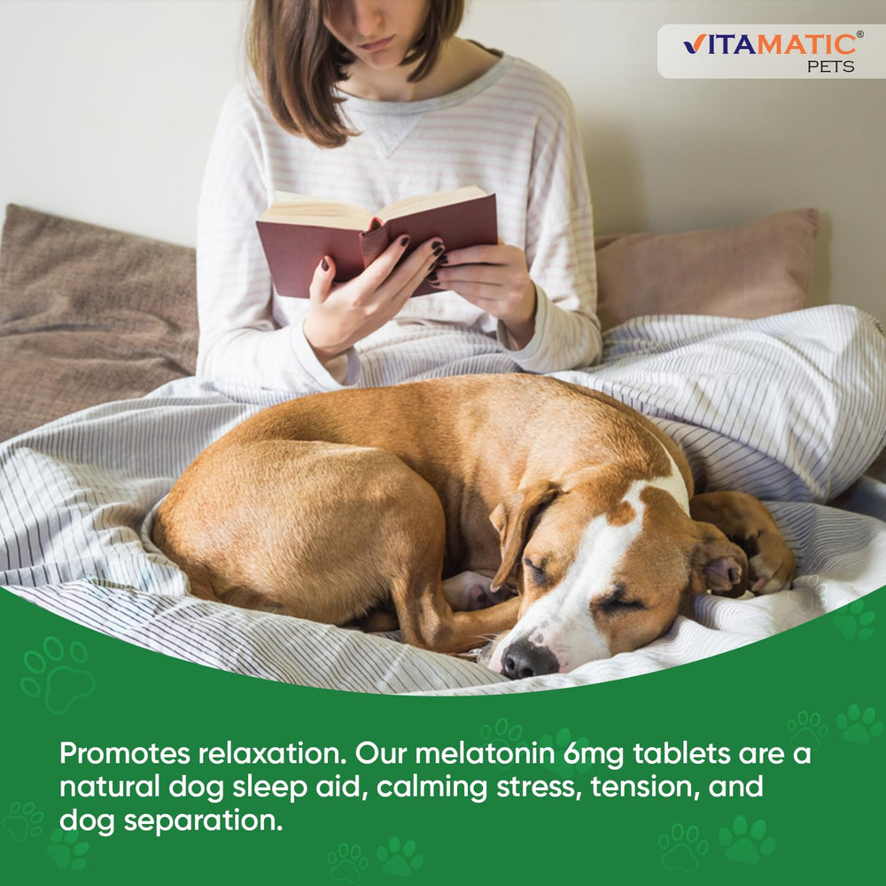 Vitamatic Melatonin for Dogs grooming and boarding scenario shows calming use