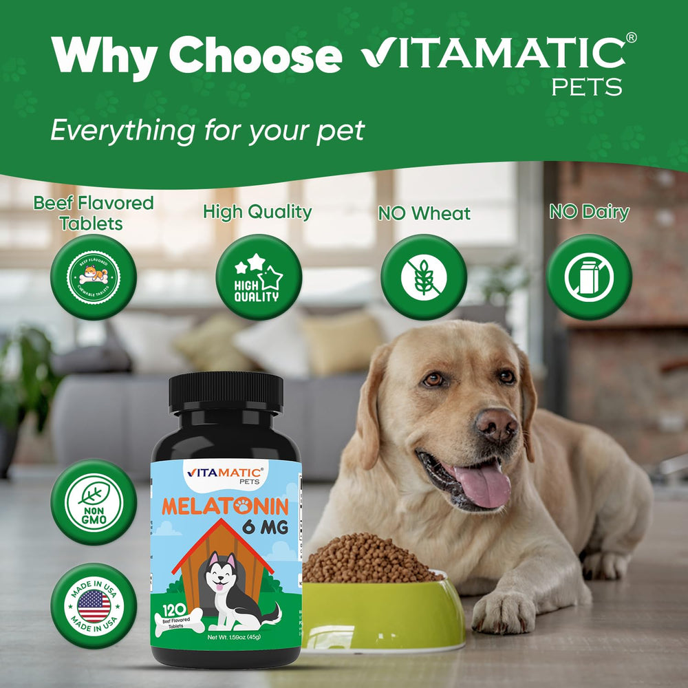 Vitamatic Melatonin for Dogs fireworks image highlights stress relief during celebrations.